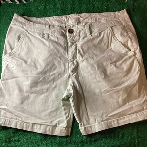 Chubbies mint green flat front shorts-SZ 32-INSEAM 7”